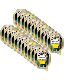 SHEBA Delicacy s kuřetem v želé 22x85 g krmivo pro kočky