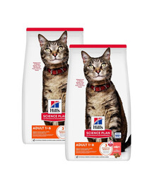 HILL'S Science Plan Feline Adult Salmon 2x10 kg suché krmivo s lososem pro dospělé kočky