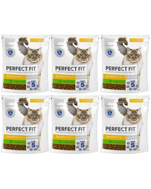 PERFECT FIT Sensitive 1+ 6x750 g sucha karma pełnoporcjowa dla dorosłych kotów bogata w indyka