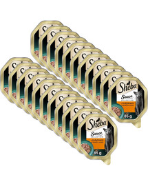 SHEBA Sauce Collection s krůtou v bílé omáčce 22x85 g krmivo pro kočky
