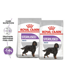 ROYAL CANIN CCN Maxi Sterilised 2x12 kg suché krmivo pro dospělé psy, velká plemena, sterilizované