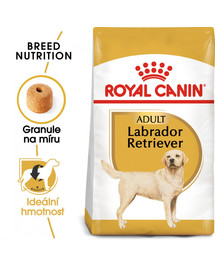 ROYAL CANIN Labrador Adult 12kg  granule pro dospělého labradora