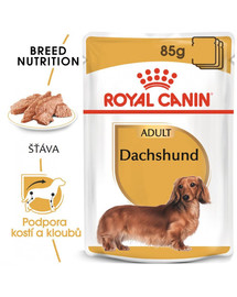 ROYAL CANIN Dachshund Loaf 85g x12 kapsička s paštikou pro jezevčíka