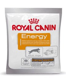 ROYAL CANIN Energy 50g