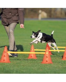Trixie Dog Activity překážky (3 ks) 23 x 30 cm/78 cm oranž/žlutá