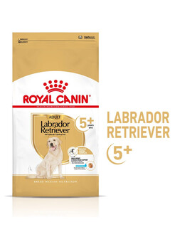 ROYAL CANIN Labrador Retriever Adult 5+ 12 kg krmivo pro labradory starší 5 let