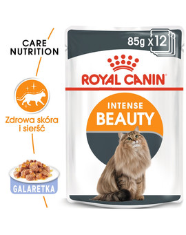 ROYAL CANIN Intense Beauty Jelly 85g x12 kapsička pro kočky v želé