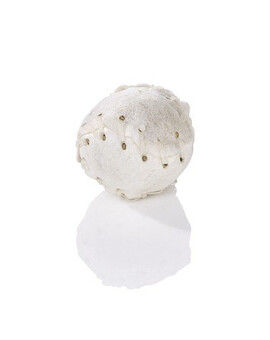 MACED Baseball 7.5 cm