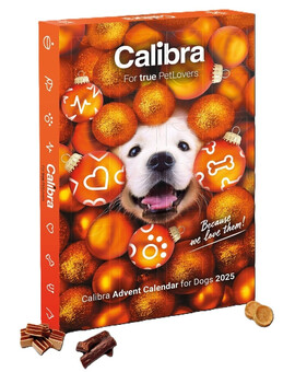 CALIBRA Adventní kalendář s masovými pamlsky