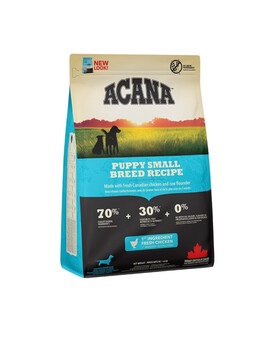 Puppy small breed dog 2 kg