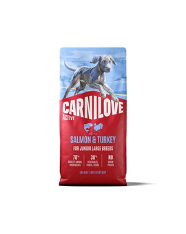 CARNILOVE Active Dog Salmon & Turkey 12 kg Junior Large Breeds łosoś i indyk, dla dorastających juniorów ras dużych