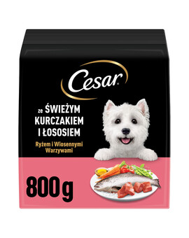 CESAR Adult s kuřecím masem a lososem 800g suché krmivo pro psy