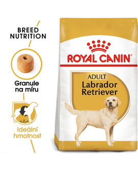 ROYAL CANIN Labrador Adult 3 kg granule pro dospělého labradora