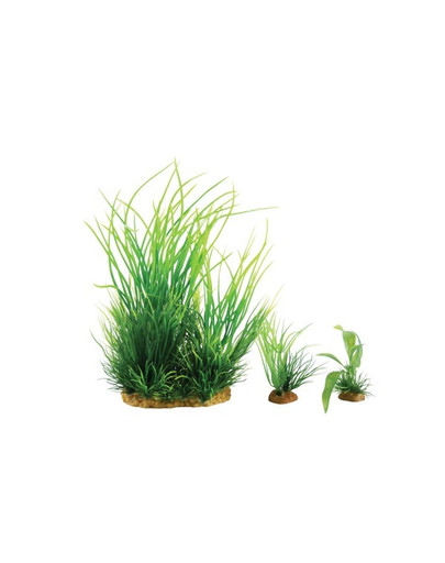 ZOLUX Dekorace Rostliny Plantkit Wiha Model 1