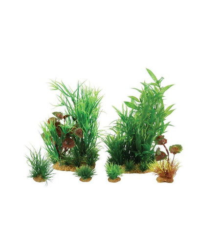 ZOLUX Dekorace Rostliny Plantkit Jalaya Model 2