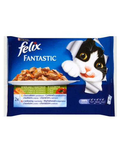 FELIX Fantastic oceánská hostina losos a platýs v rosolu 40 x 100g