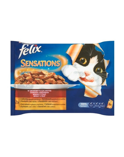FELIX Sensations Maso v rosolu 40 x 100g