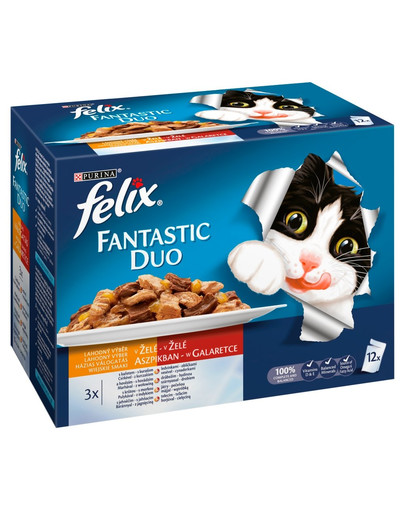 FELIX Fantastic Duo Chuť venkova v želé 12X100 g