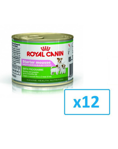 ROYAL CANIN Starter Mousse 12 x 195g konzerva pro březí nebo kojící feny a štěňata