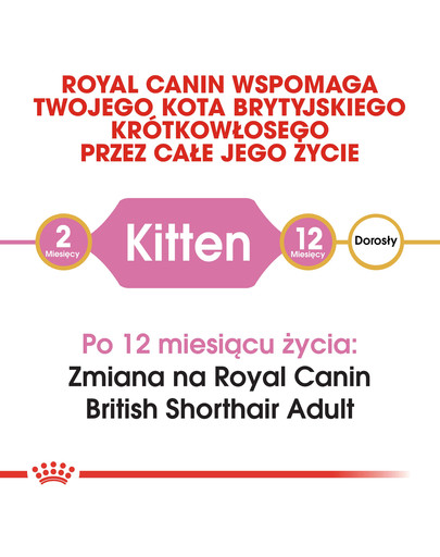 ROYAL CANIN British Shorthair Kitten 10kg granule pro britská krátkosrstá koťata