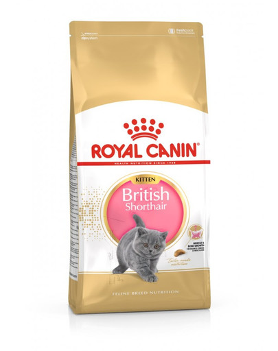 ROYAL CANIN British Shorthair Kitten 2kg granule pro britská krátkosrstá koťata