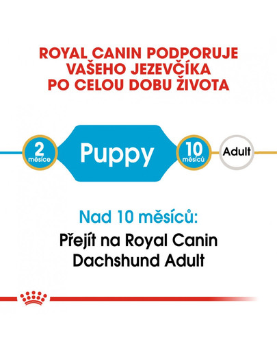 ROYAL CANIN Dachshund Puppy 1.5 kg granule pro štěně jezevčíka