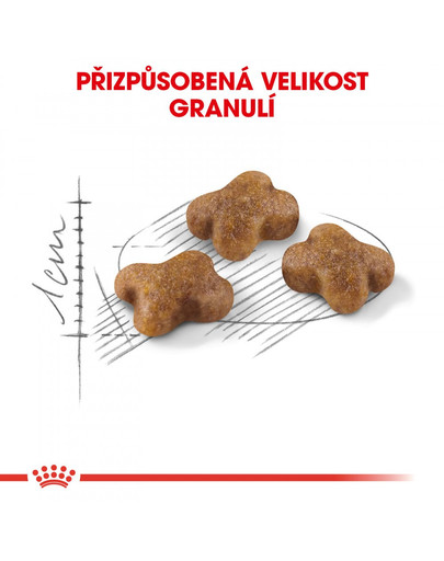 ROYAL CANIN Kitten 2 kg granule pro koťata