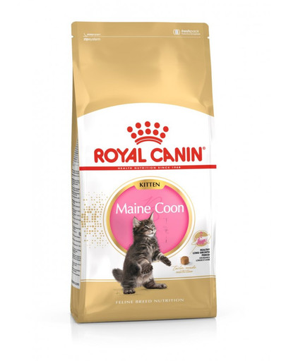 ROYAL CANIN Kitten Maine Coon 4 kg granule pro mainská mývalí koťata
