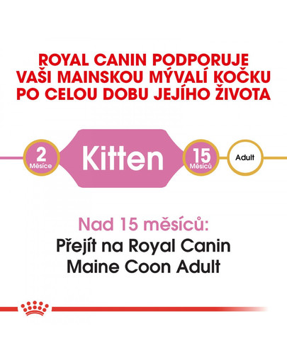 ROYAL CANIN Kitten Maine Coon 4 kg granule pro mainská mývalí koťata