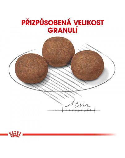 ROYAL CANIN Medium Puppy 10 kg granule pro střední štěňata
