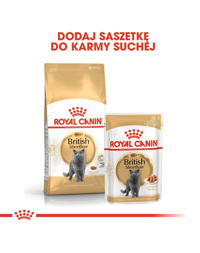 ROYAL CANIN British Shorthair Gravy  85g kapsička pro britské krátkosrsté kočky ve šťávě