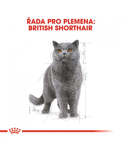 ROYAL CANIN British Shorthair Gravy 6x 85g kapsička pro britské krátkosrsté kočky ve šťávě