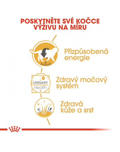ROYAL CANIN British Shorthair Gravy 6x 85g kapsička pro britské krátkosrsté kočky ve šťávě