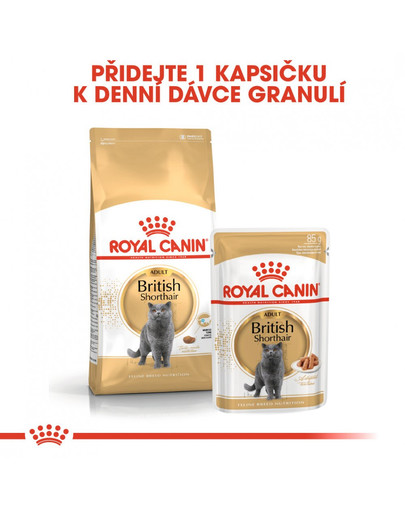 ROYAL CANIN British Shorthair Gravy 6x 85g kapsička pro britské krátkosrsté kočky ve šťávě