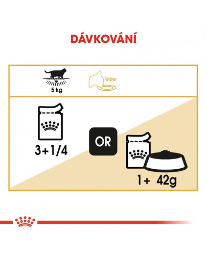 ROYAL CANIN British Shorthair Gravy 6x 85g kapsička pro britské krátkosrsté kočky ve šťávě