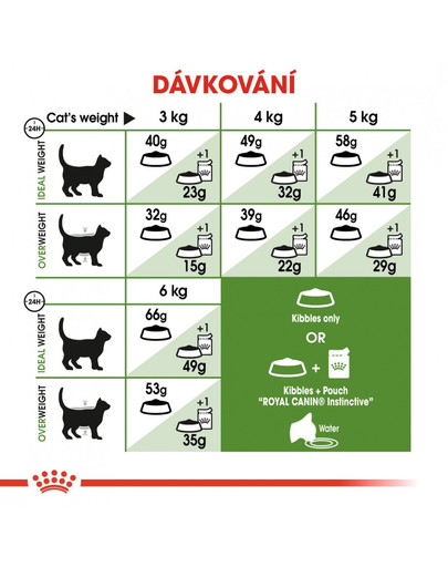 ROYAL CANIN Outdoor 400g granule pro kočky s častým pohybem venku