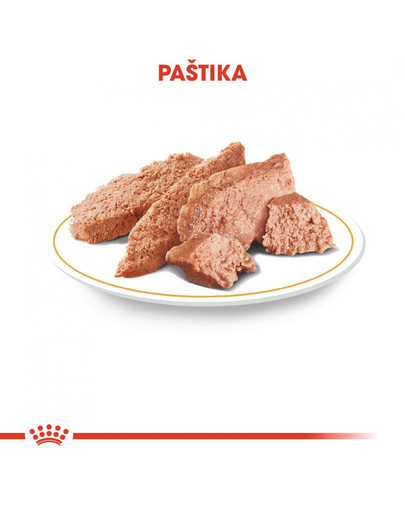 ROYAL CANIN Chihuahua Loaf 85g x6 kapsička s paštikou pro čivavu