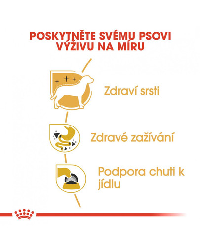 ROYAL CANIN Chihuahua Loaf 85g x6 kapsička s paštikou pro čivavu