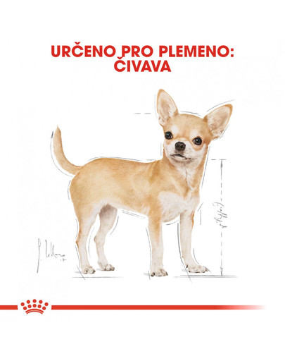 ROYAL CANIN Chihuahua Loaf 85g x6 kapsička s paštikou pro čivavu