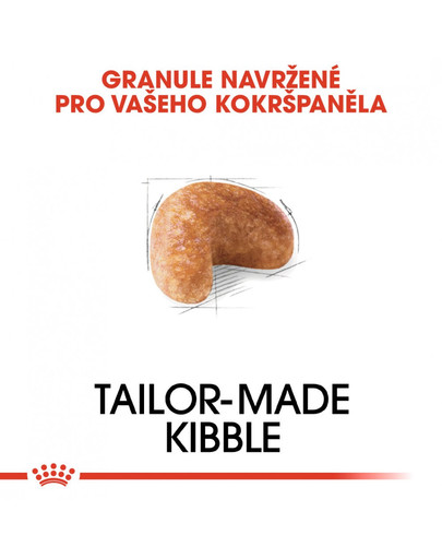 ROYAL CANIN Cocker Adult 3 kg granule pro dospělého kokršpaněla