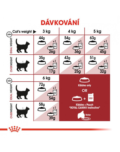 ROYAL CANIN Fit 2 kg granule pro správnou kondici koček