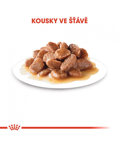 ROYAL CANIN Intense Beauty Gravy 85g kapsička pro kočky ve šťávě