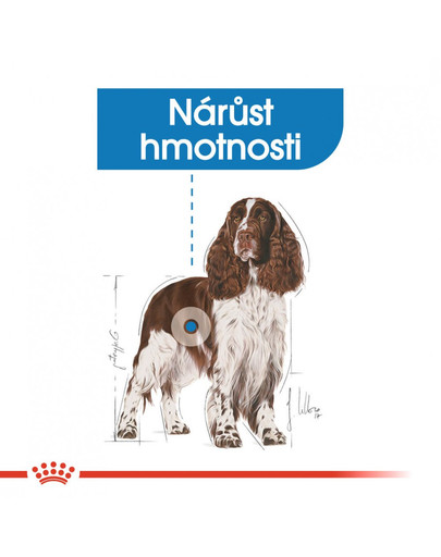 ROYAL CANIN Medium Light Weight Care 3kg dietní granule pro střední psy