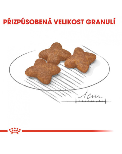 ROYAL CANIN Mini adult 800g granule pro dospělé malé psy