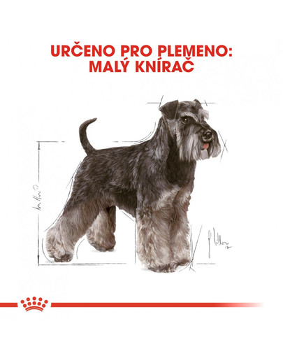 ROYAL CANIN Schnauzer Adult  500g granule pro dospělého knírače