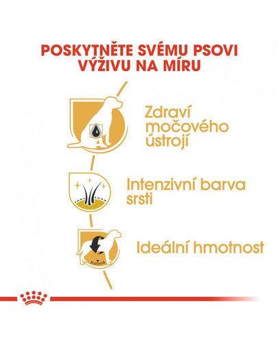 ROYAL CANIN Schnauzer Adult  500g granule pro dospělého knírače