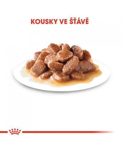 ROYAL CANIN Sterilised Gravy 85g kapsička v pro kastrované kočky ve šťávě
