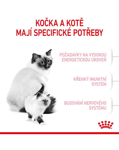 ROYAL CANIN Mother&Babycat granule pro březí nebo kojící kočky a koťata  od 1 do 4 měsíců 4 kg