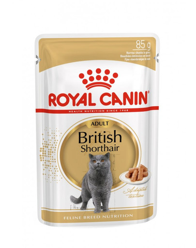 ROYAL CANIN British Shorthair Gravy 12x 85g kapsička pro britské krátkosrsté kočky ve šťávě