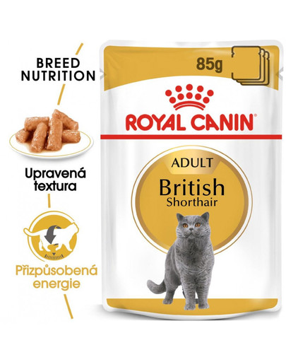 ROYAL CANIN British Shorthair Gravy 6x 85g kapsička pro britské krátkosrsté kočky ve šťávě